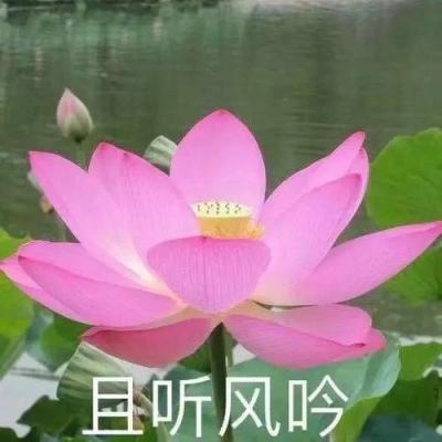 仙剑问道7725安卓下载